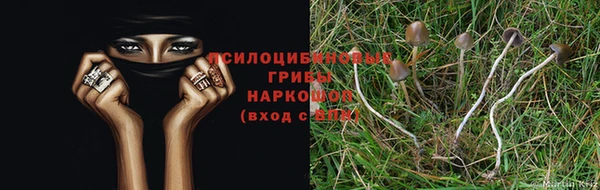 mdpv Абдулино