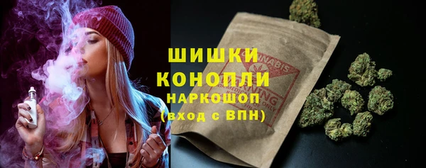 дживик Абинск
